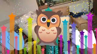 poppo　🦉フクロウの目がキョロキョロ動く！！　かわいい鳩時計の開封動画てすぅ〜！！＼(^o^)／ 　品番は多分…rq 458かな～…… (・・?