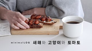 [미니멀로그] 새해가 왔지만 아무것도 변하지 않았다 ㅋ / 토마토가 남아돌아서 만드는 토마토 요리 / 고양이와 가족들의 근황 / 나름 미니멀라이프