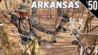 ARKANSAS DEER HUNTING!!! (Public Land with a BOW!)