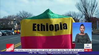 የውጭ ጣልቃ ገብነትን ለመከላከል የዳያስፖራው ሚና