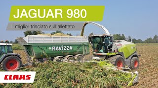 CLAAS In Campo 2019 -  JAGUAR 980 Allettato nel bresciano