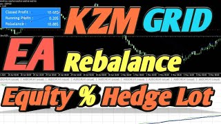 EA KZM Dynamic Grid Rebalance แก้ปัญหา DD พอร์ต ช่วยปิดไม้รวบทั้งพอร์ต มีระบบ %Hedge ราคาหลุดโซนล่าง