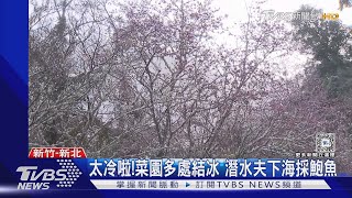 大雪紛飛!馬祖「雲台山」又下雪 民眾歡呼｜TVBS新聞 @TVBSNEWS02