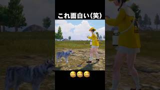 これマジでオモロい😂 #pubgモバイル