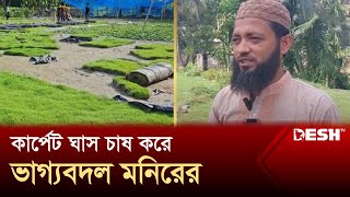 পাঁচ লাখ টাকা পুঁজি নিয়ে ঘাস চাষে আয় অর্ধকোটি টাকা । Chandpur | News | Desh TV