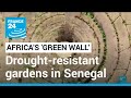 Africa's 'Green wall': circular drought-resistant gardens sprouting in Senegal • FRANCE 24 English