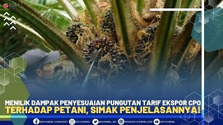 Menilik Dampak Penyesuaian Pungutan Tarif Ekspor CPO Terhadap Petani, Simak Penjelasannya!