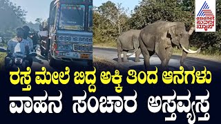 Elephants in Chamarajanagar |ರಸ್ತೆಯಲ್ಲಿ ಚೆಲ್ಲಿದ ಅಕ್ಕಿಯನ್ನು ಕಾಡಾನೆಗಳು ಮೆಲ್ಲುತ್ತಿದ್ದರಿಂದ ಟ್ರಾಫಿಕ್ ಜಾಮ್