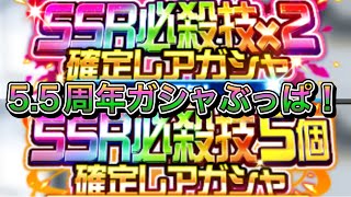 【スパロボDD・ドズル】一大決心でドズル垢に今ある石全部使って5.5周年系のガシャ引きます！