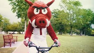 Experience Fayetteville VeoRide Bike with Big Red