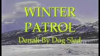 Winter Patrol- Denali National Park, Alaska