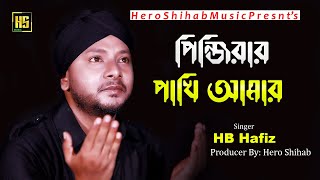 Pinjirar Pakhi Amar | Hafiz Baula | Bangla New Song 2022 | BD Song | Jungle Entertainment