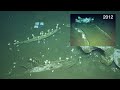 2023 Expedition Season Highlights Deep Sea Science and Collaboration  Nautilus Live