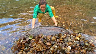 The clams in the river pile up like mountains. Opening them will yield exquisite pearls