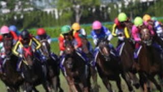 大井競馬で歴代最高配当…５０円が７４７６万円に！