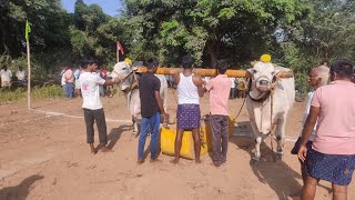 ముండ్లపాడు(గ్రామం)సీనియర్స్ విభాగం లో 10వజతగ pvsr bulls గారి ఎద్దుల జత