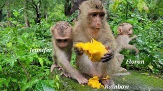 Very pitiful for little princess monkey Rainbow so cold under the rain shaking body 🐒💖🌿🍃