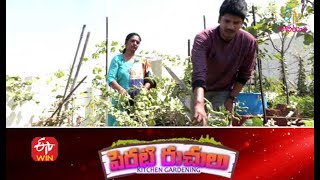 Perati Ruchulu | 17th March 2021 | Full Episode | ETV Abhiruchi