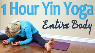 1 Hour Yin Yoga Class for the Entire Body | An Antidote to Overwhelm & Stress