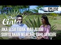 IKATAN CINTA - Sangat Serius!! Surya Ingin Dengar Langsung Dari Elsa Soal Pembunuhan Roy