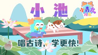 《小池》：儿歌中有初夏的池塘美景，一起来轻松学古诗吧！