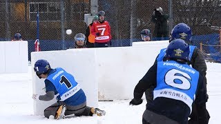 雪がなくても雪合戦大会　 御嶽山からかき集め