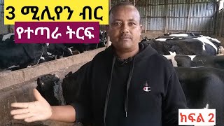 በዓመት 3 ሚሊየን ብር የተጣራ ትርፍ ከወተት ላም እርባታ ማግኘት ድንቅ ነዉ! ክፍል 2