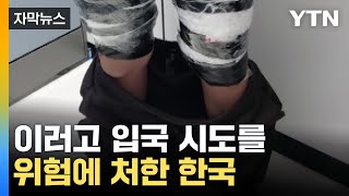 [자막뉴스] 관광객 늘며 전세계서 속속...목표물 된 한국 / YTN