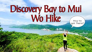 Discovery Bay to Mui Wo Hike via Trappist Haven Monastery || How to get There? || Hong Kong ||