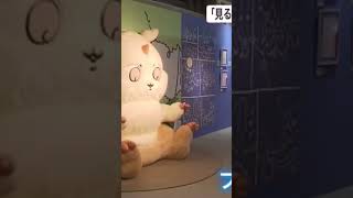 ナガノ展の魅力【ちいかわ】