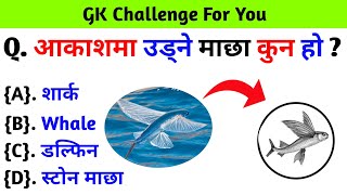 आकाशमा उड्ने माछा कुन हो ? gk questions and answers in nepali ।। gk