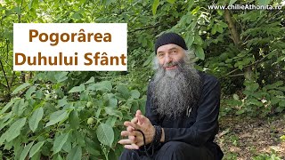 Pogorârea Duhului Sfânt - p. Pimen Vlad