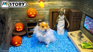 🐹 Hamster Escapes the Granny Maze on Halloween 🐹 Homura Ham Pets
