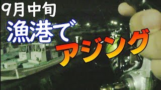 【9月中旬アジングin三河湾】意外と釣るのが難しい豆アジの釣り方とは？