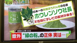 ホウレンソウ社長〜不在時にテレビの取材が来る！