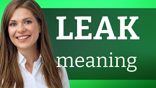 The Many Meanings of "Leak"