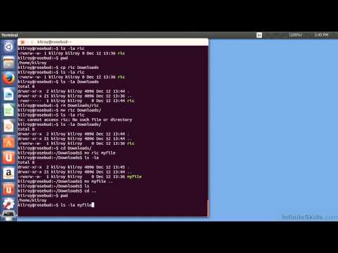 Ubuntu Linux Tutorial | File Management: Copy, Move And Rename Ubuntu Linux Tutorial | File Management: Copy, Move And Rename