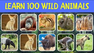 100 Wild Animals | Learn Wild Animal Names | Wild Animals Vocabulary #animals #animallover #wildlife