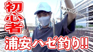 【浦安】今年も境川でハゼを釣って食べる(前編)【ハゼ釣り】