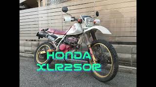 HONDA XLR250R 始動走行　確認動画