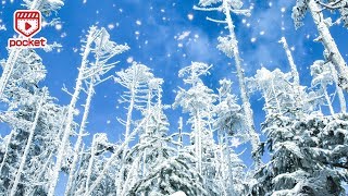 雪の結晶が降り注ぐキラキラ光る動画素材✨ダウンロードフリー📺ビデオポケット