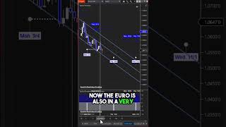 How Do We Predict FOREX Movements?