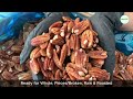 Australian Organic Pecan Nuts Whole PT Omid Health Style