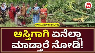 Areca Farm Destroyed Over Property Dispute | ಆಸ್ತಿ ವಿವಾದಕ್ಕೆ ದುಷ್ಕರ್ಮಿಗಳಿಂದ ಅಡಿಕೆ ಗಿಡಗಳು ನೆಲಸಮ