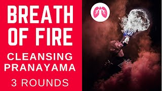 Breath of Fire  | TAKE A DEEP BREATH  | Pranayama Series