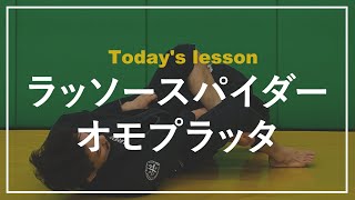 【ラッソーガード】これはオススメ！！　ラッソースパイダーオモプラッタ