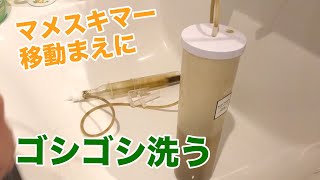 マメスキマーを新しい60cm水槽に移動！とその前に洗っておきます！