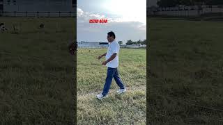 Ustad #agha# kitefighting #kiteflying #viral #video