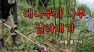 倫安家 작업일지 2023년 7월 10일, 앞/뒷마당의 나무를 정리하며 바람길 만들기(Cutting down Bamboos and Trees in front \u0026 backyard)