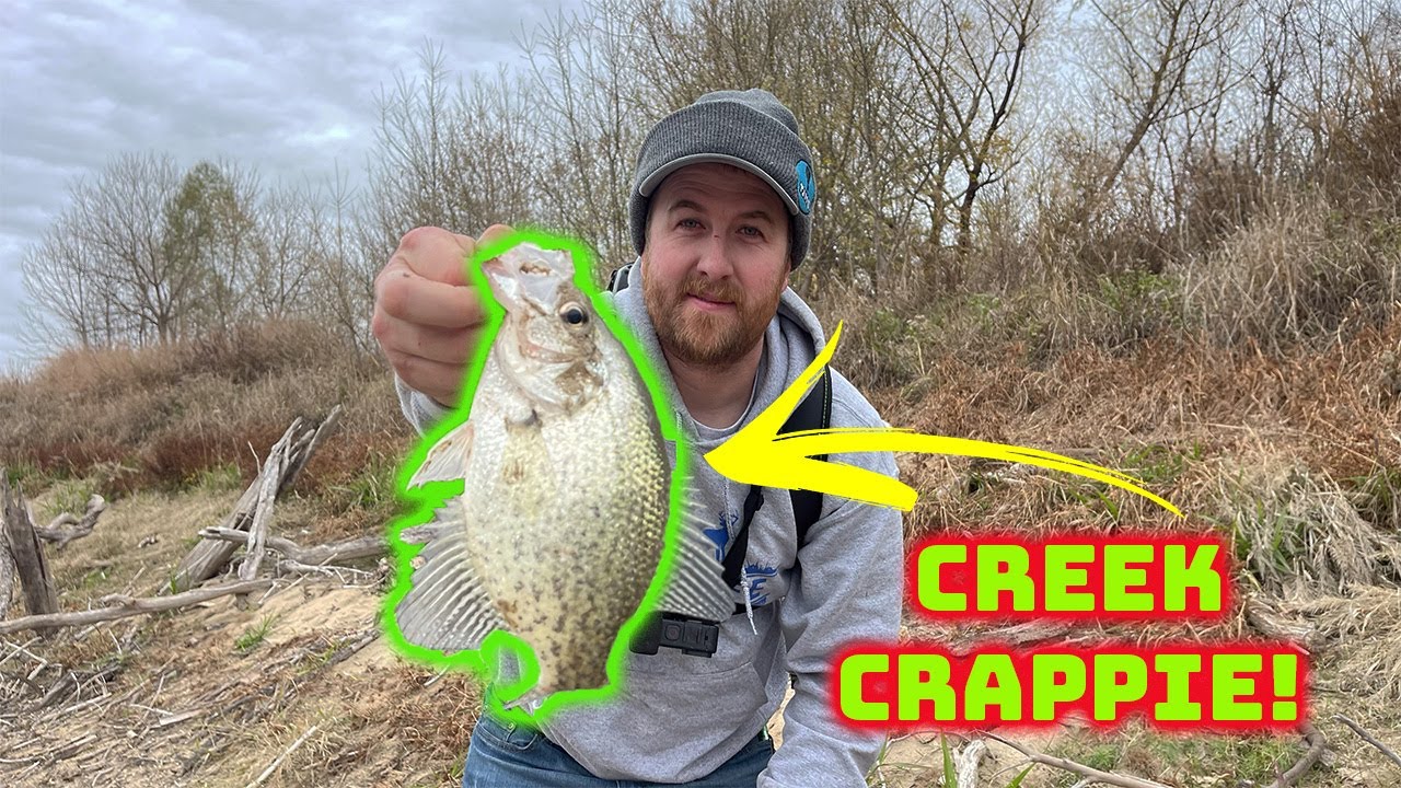 CREEK CRAPPIE Fishing With A JIG & BOBBER! - YouTube